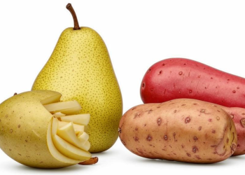 Талгарская груша и нарынкольский картофель: новый этап в брендировании казахстанских продуктов
