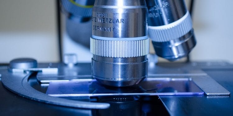 вирус Марбурга