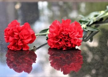 Токаев призвал помнить подвиг ветеранов ВОВ на заседании СНГ в Москве