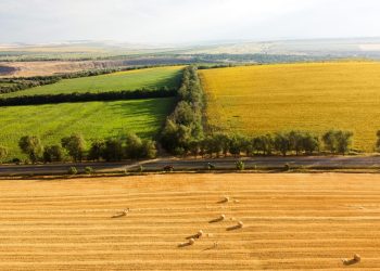 Земли, поля