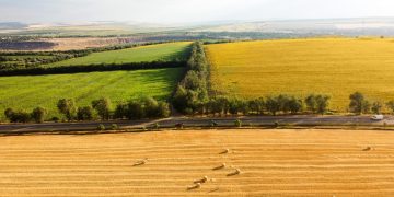 Земли, поля