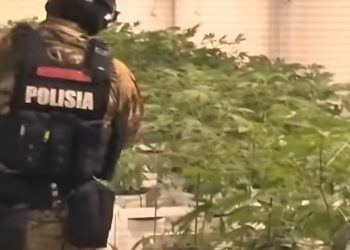 МВД совместно с КНБ и прокуратурой разоблачили подпольное производство каннабиса