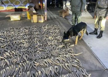 За октябрь задержано более 4,6 тысяч нарушителей на границе Казахстана