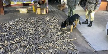За октябрь задержано более 4,6 тысяч нарушителей на границе Казахстана