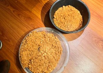 Подпольное производство синтетических наркотиков остановлено в Алматинской области