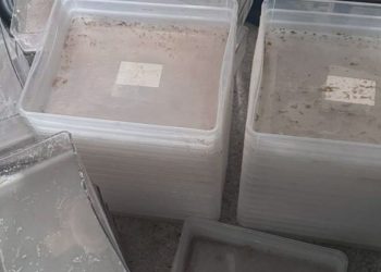 КНБ Алматы ликвидировал нарколабораторию и задержал подозреваемого