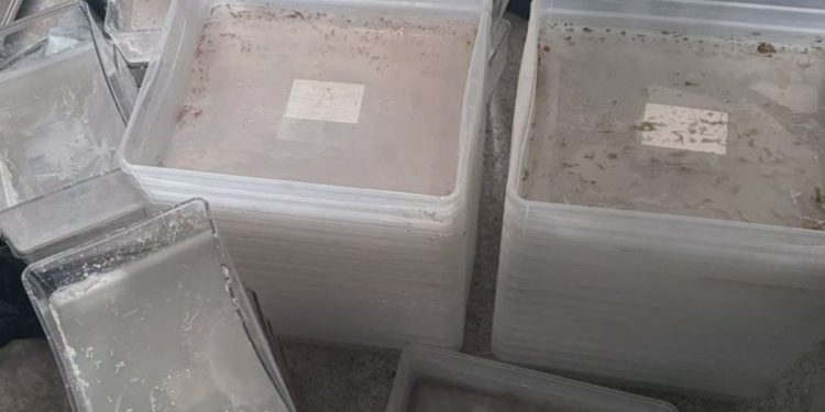 КНБ Алматы ликвидировал нарколабораторию и задержал подозреваемого