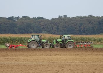 С 2025 года субсидии фермерам заменят кредитами под низкий процент