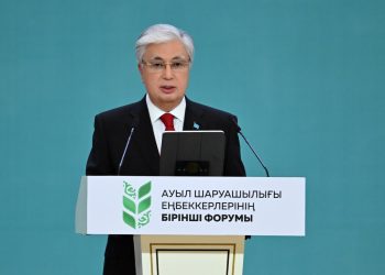 Токаев рассказал о планах поддержки агропромышленного комплекса и развитии села