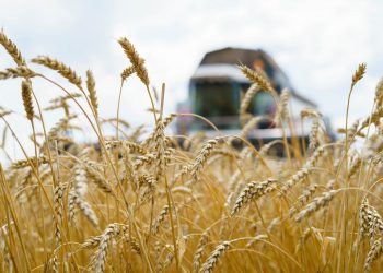 Министерство сельского хозяйства