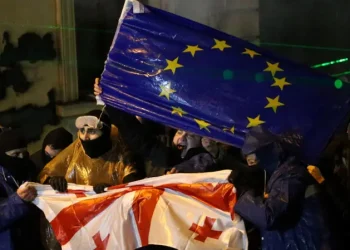 Грузия протесты