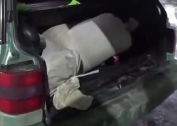 В Шымкенте изъято 30 кг марихуаны