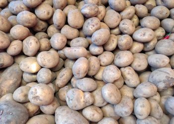 Цены на картофель
