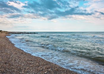 Рекордный объем воды поступил в Арал