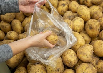 продажа картофеля
