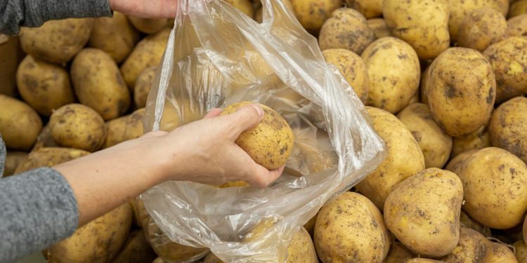 продажа картофеля
