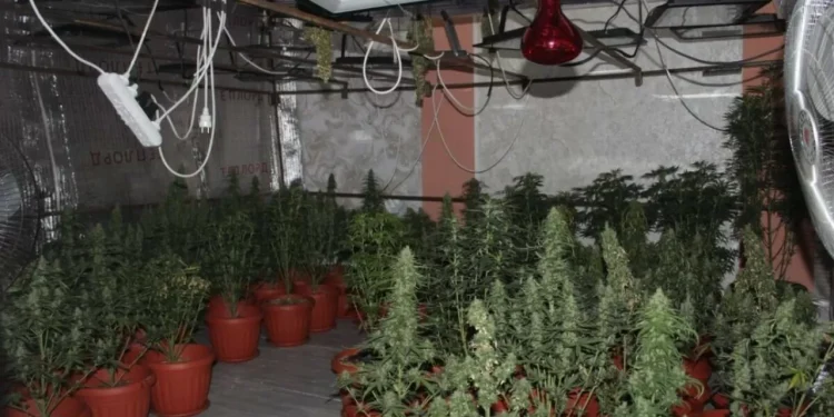 Наркофитолаборатория