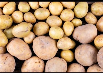 Минсельхоз поможет казахстанским фермерам сбыть картофель
