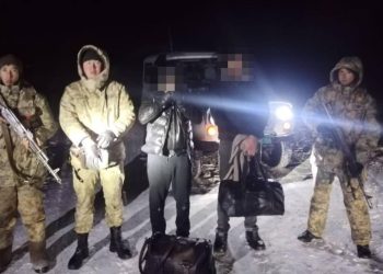 задержали иностранцев