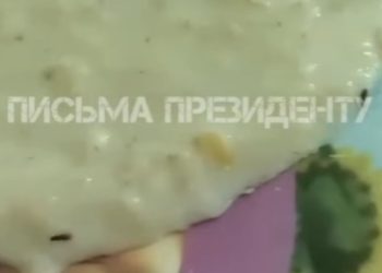 каша с насекомыми