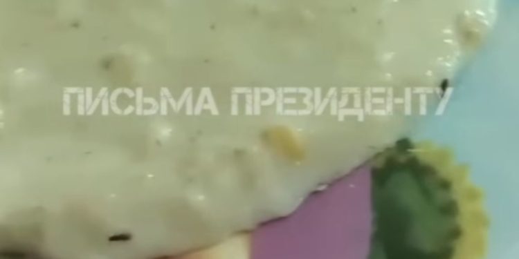 каша с насекомыми