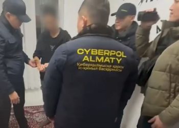 Киберполиция, задержание