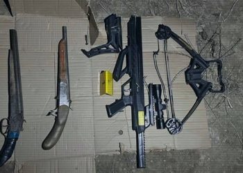 оружие похищенное во время январских событий
