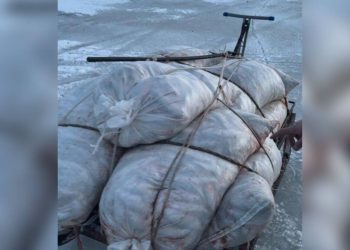 500 кг незаконно выловленной рыбы