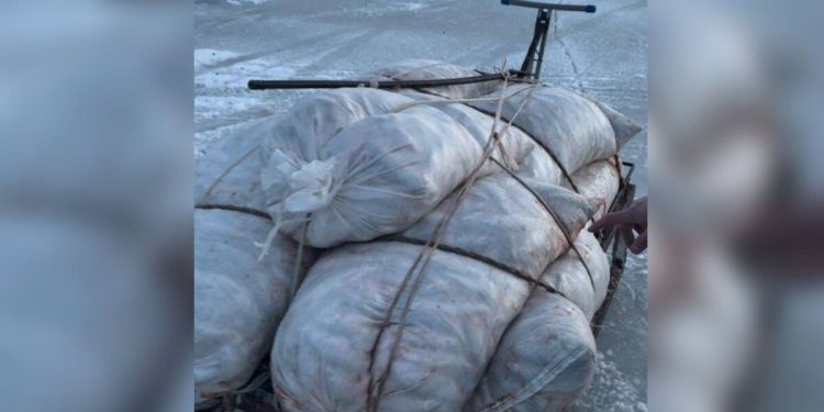 500 кг незаконно выловленной рыбы