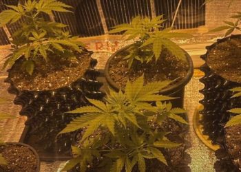 нарколаборатория