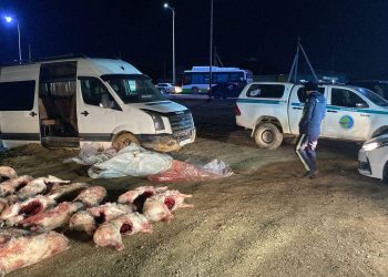 Браконьеры