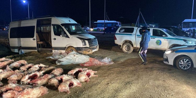 Браконьеры