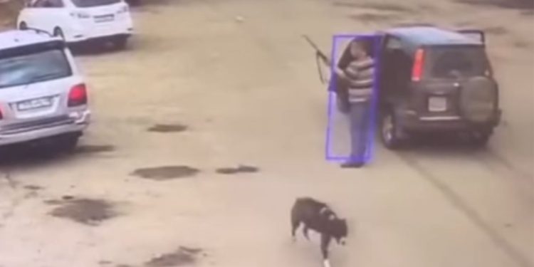 расстрелял собаку