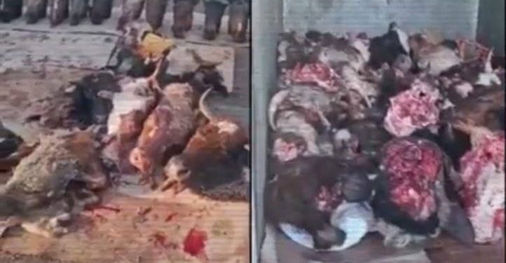 убойные цеха