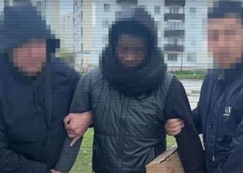 Задержание иностранца
