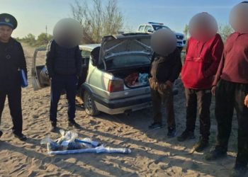 Скотокрады