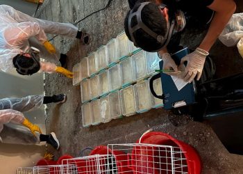 нарколаборатория