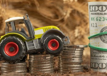 Сельское хозяйство и деньги