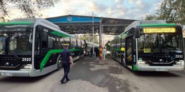 Автобусы