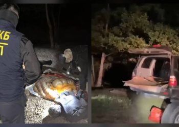 Скотокрады задержаны в Актюбинской области