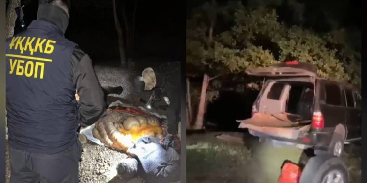 Скотокрады задержаны в Актюбинской области