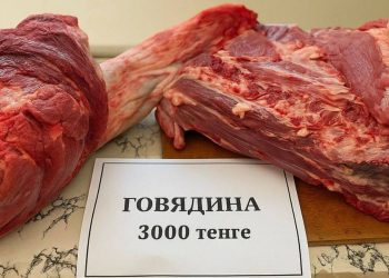 Говядина