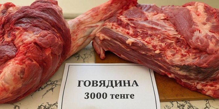 Говядина