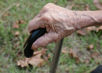 Долгожители