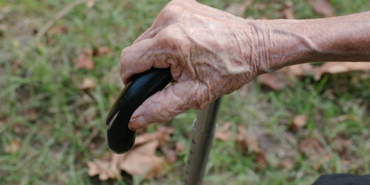 Долгожители