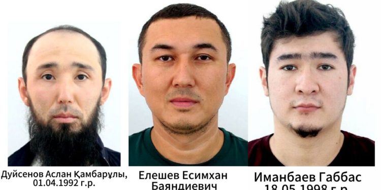 Розыск АФМ