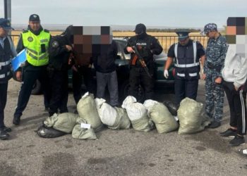 В Жамбылской области задержали наркокурьеров с 66 кг марихуаны