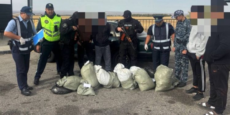 В Жамбылской области задержали наркокурьеров с 66 кг марихуаны
