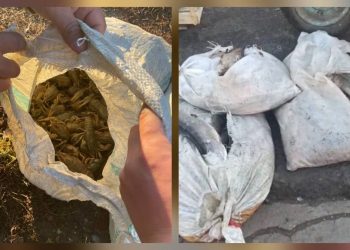 В ЗКО задержали браконьеров с мешками рыбы и раков
