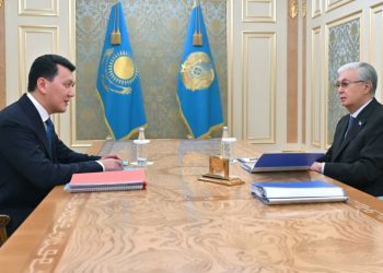 Токаев принял Ерлана Карина